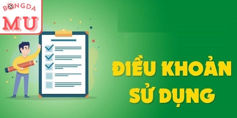 Cách Bongdamu cập nhật điều khoản sử dụng mới