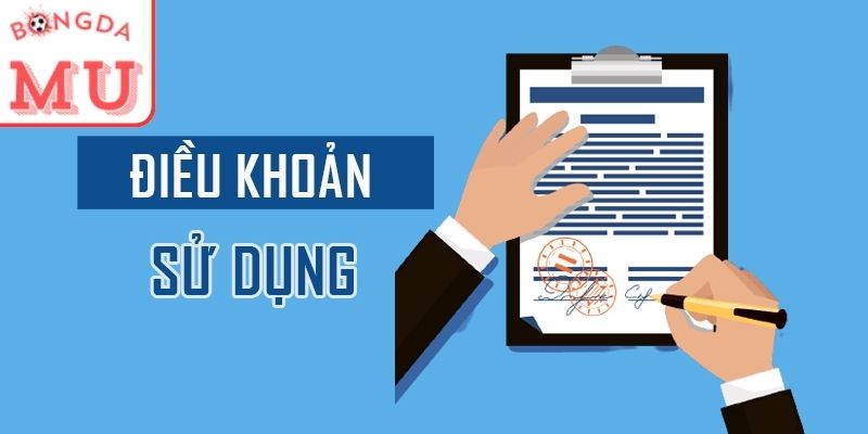 Phạm vi áp dụng điều khoản
