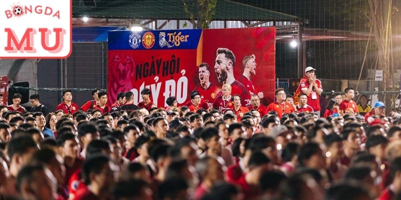 Giao lưu fan club và sự kiện cộng đồng