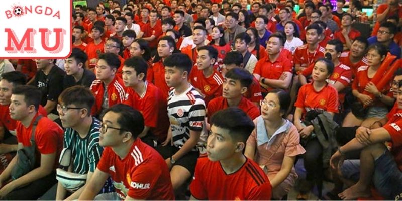Xem bóng đá tập trung - Hoạt động offline cộng đồng fan MU
